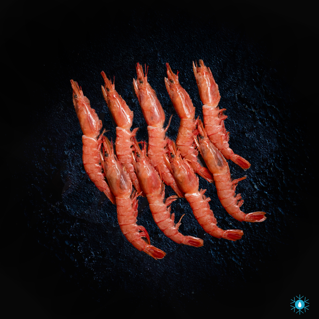 Wild Red Prawns - 500g