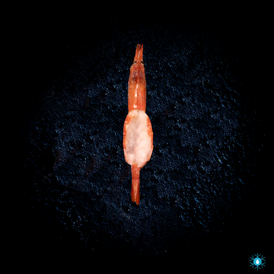 Wild Red Prawns - 500g