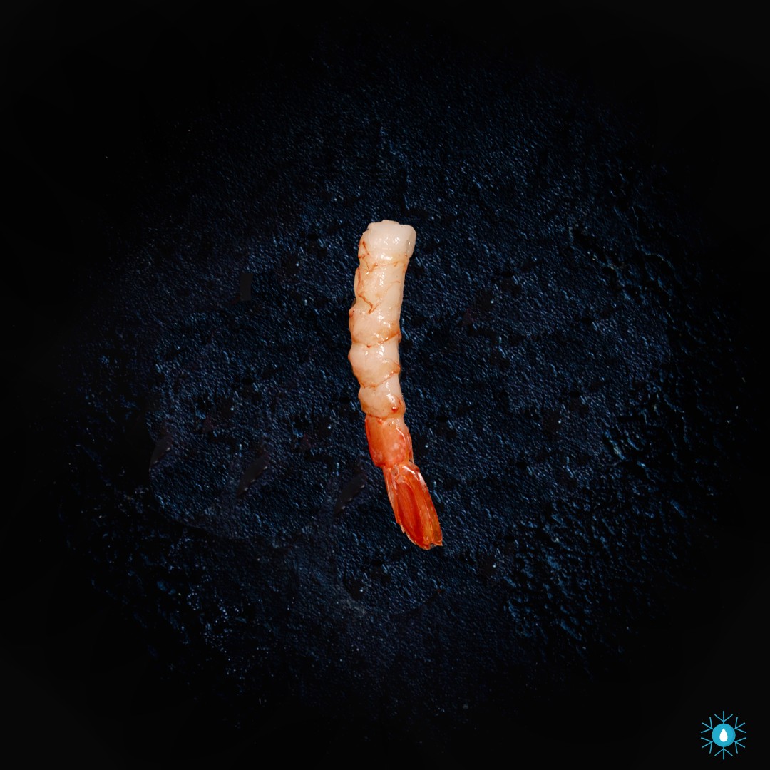 Wild Red Prawns - 500g