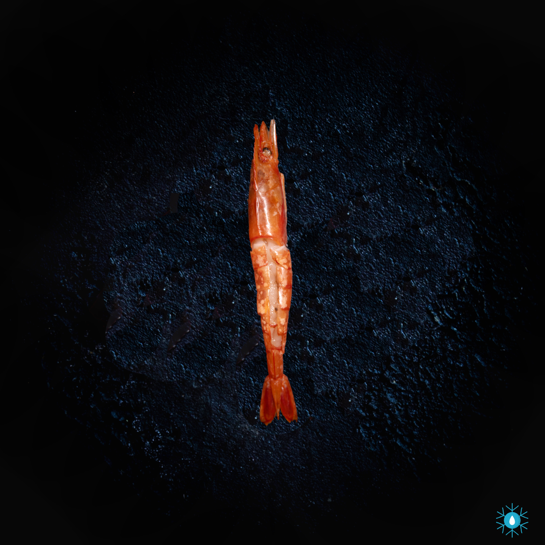 Wild Red Prawns - 500g