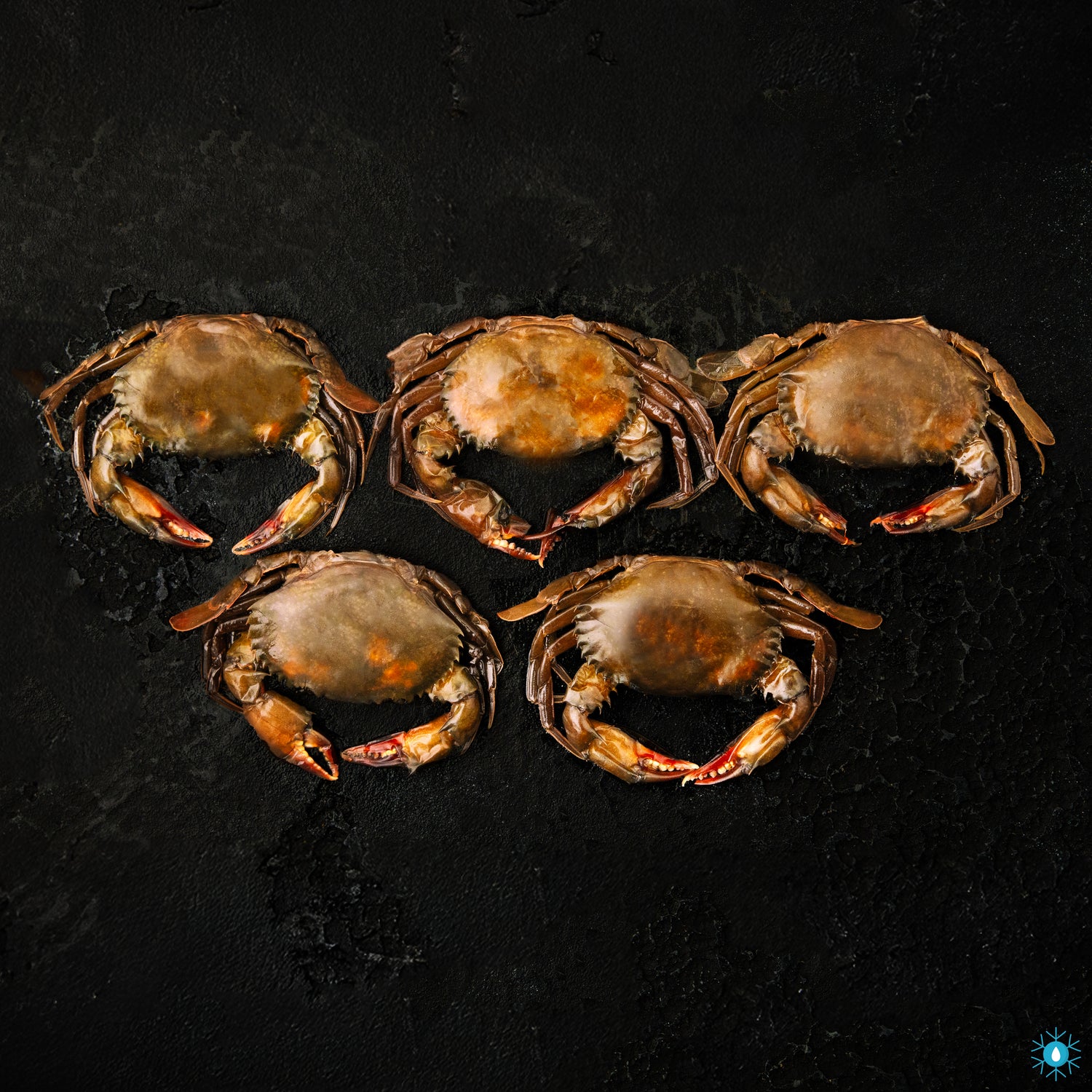 Soft Shell Crab - 500g