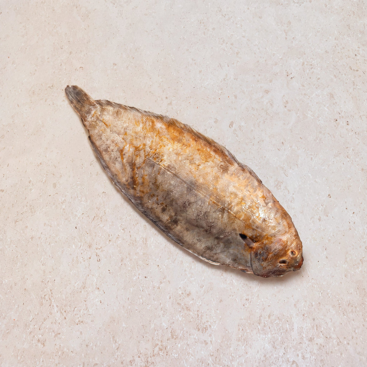 Dover Sole Whole 400-600g | CarniStore Dubai