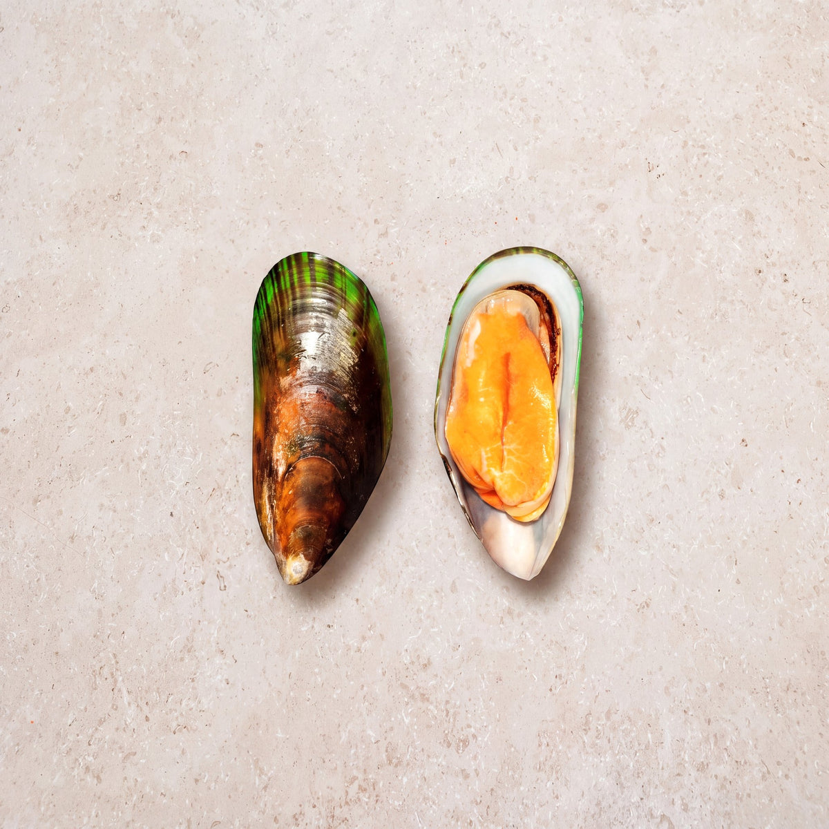 Greenshell Mussels - 1Kg | CarniStore Dubai