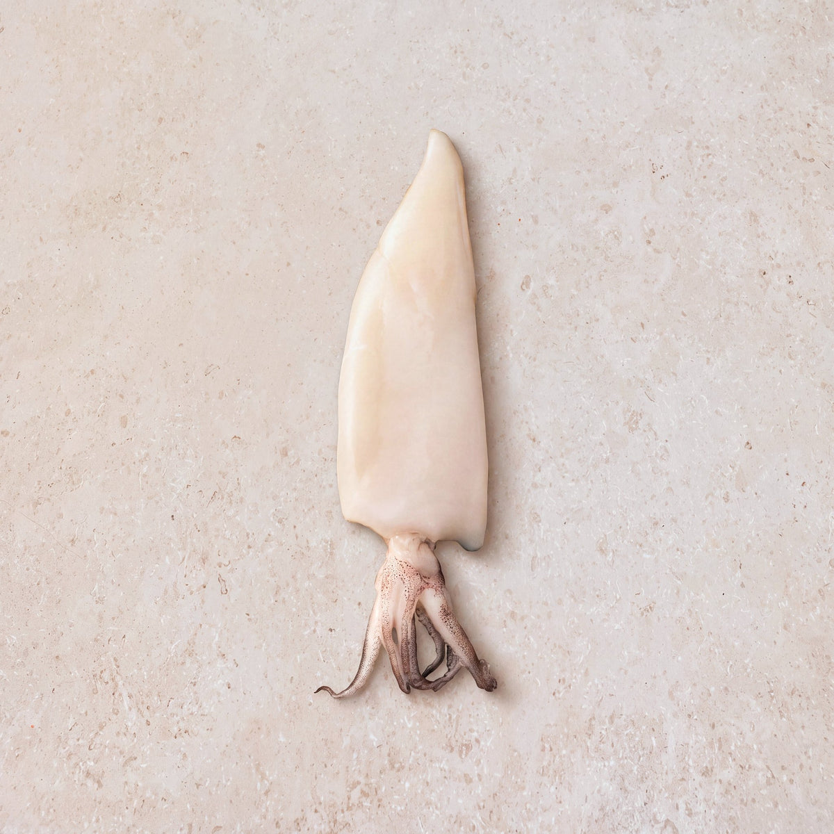 Patagonian Squid - 900g | CarniStore Dubai