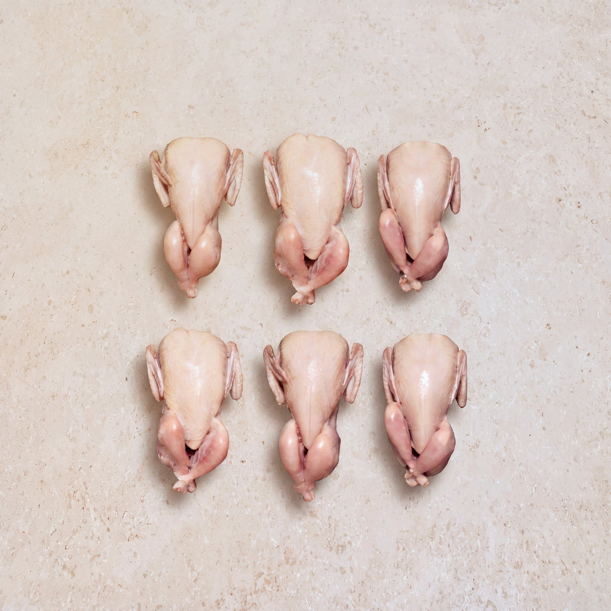 Quail - 600g | CarniStore Dubai