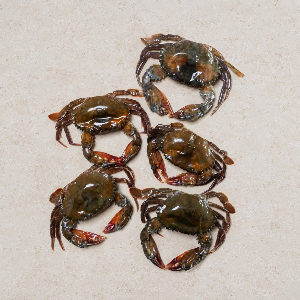 Soft Shell Crab - 500g | CarniStore Dubai
