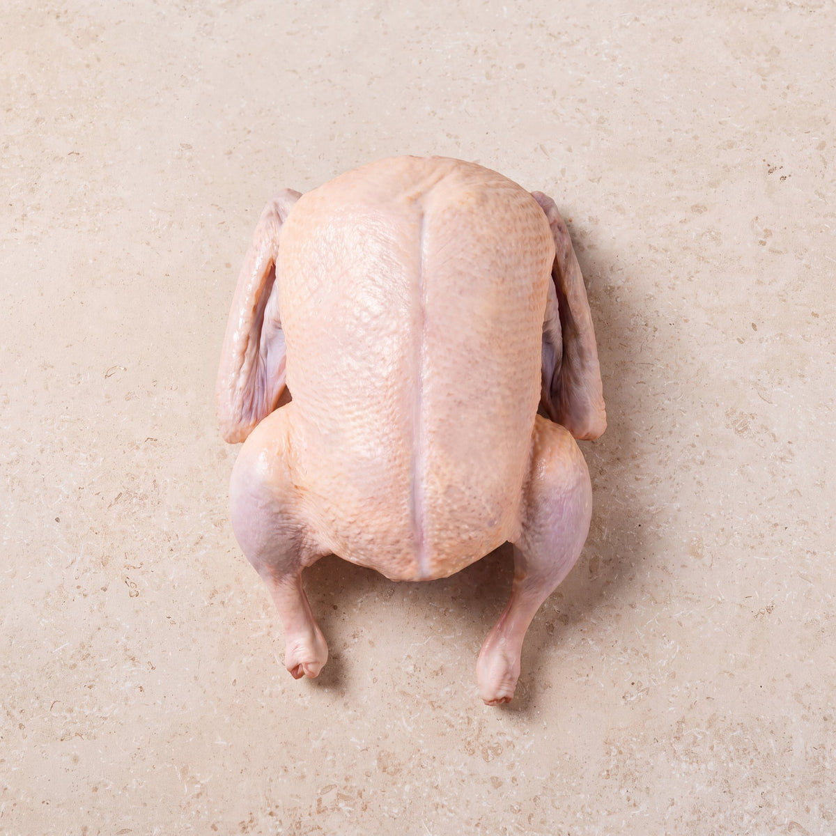 Whole Duck - 1.5-1.7Kg | CarniStore Dubai