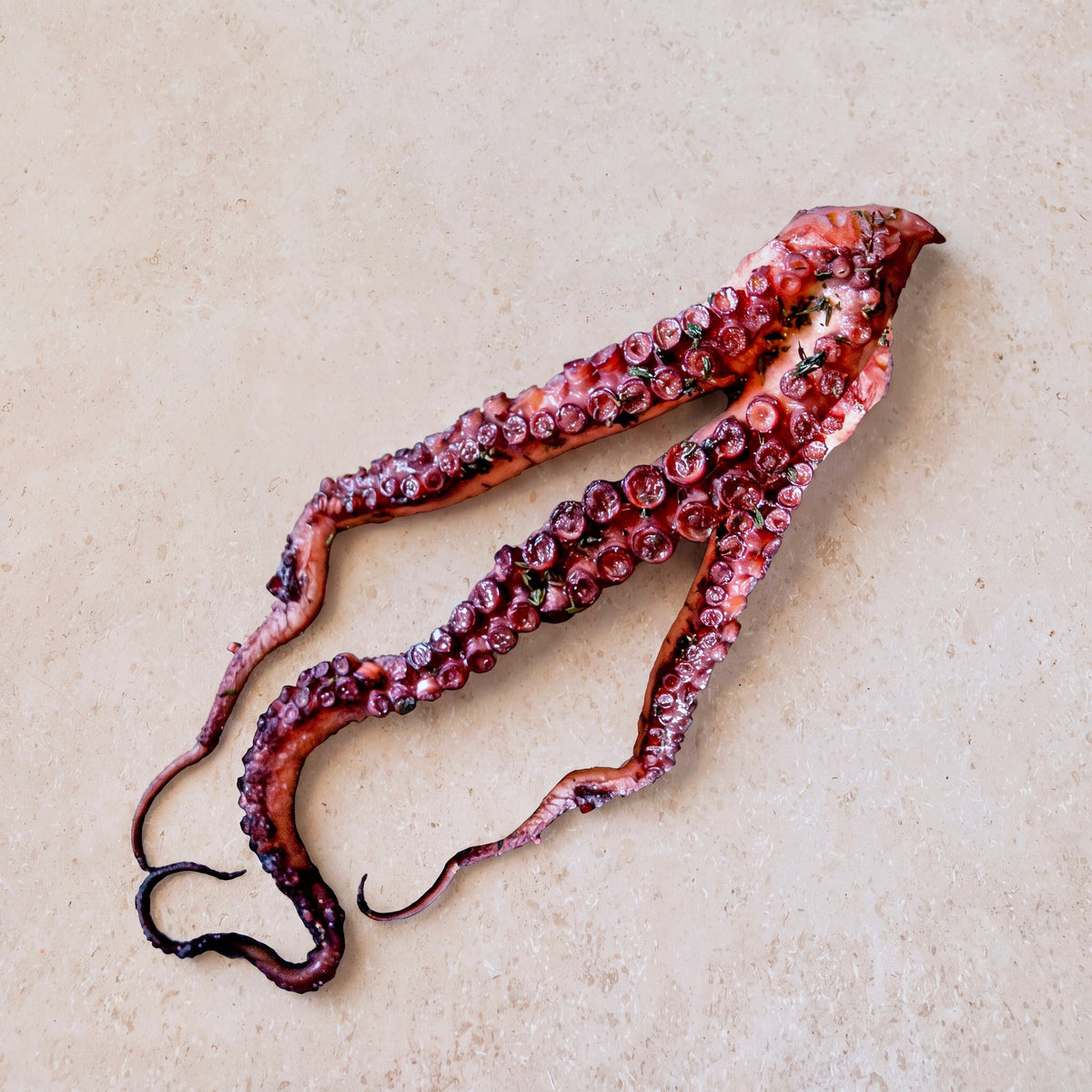 Wild Octopus | CarniStore Dubai
