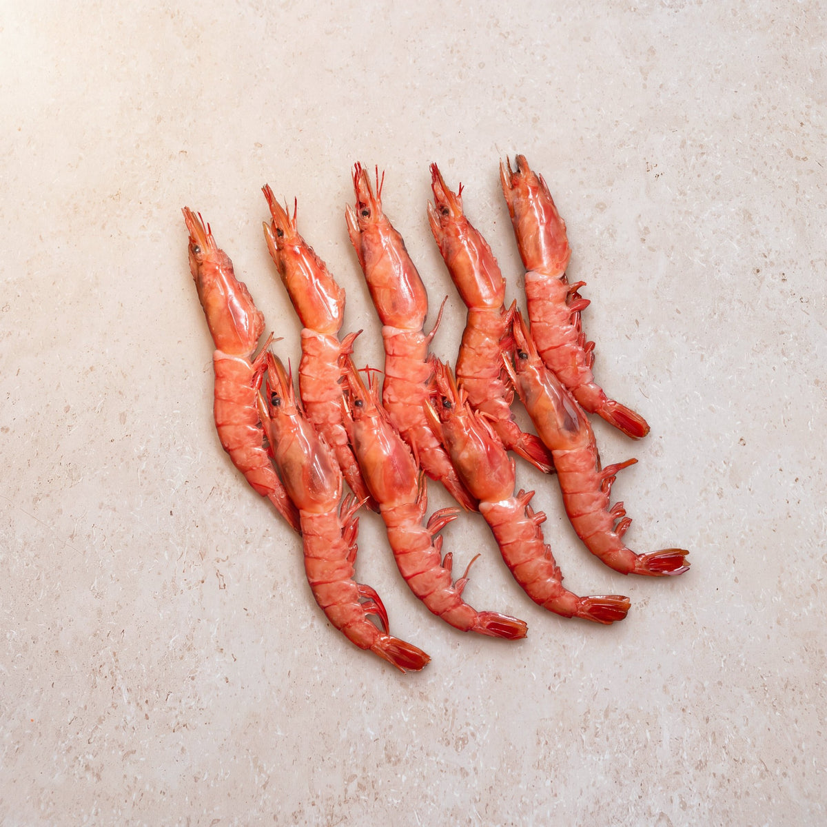 Wild Red Prawns - 500g - head-and-shell-on | CarniStore Dubai