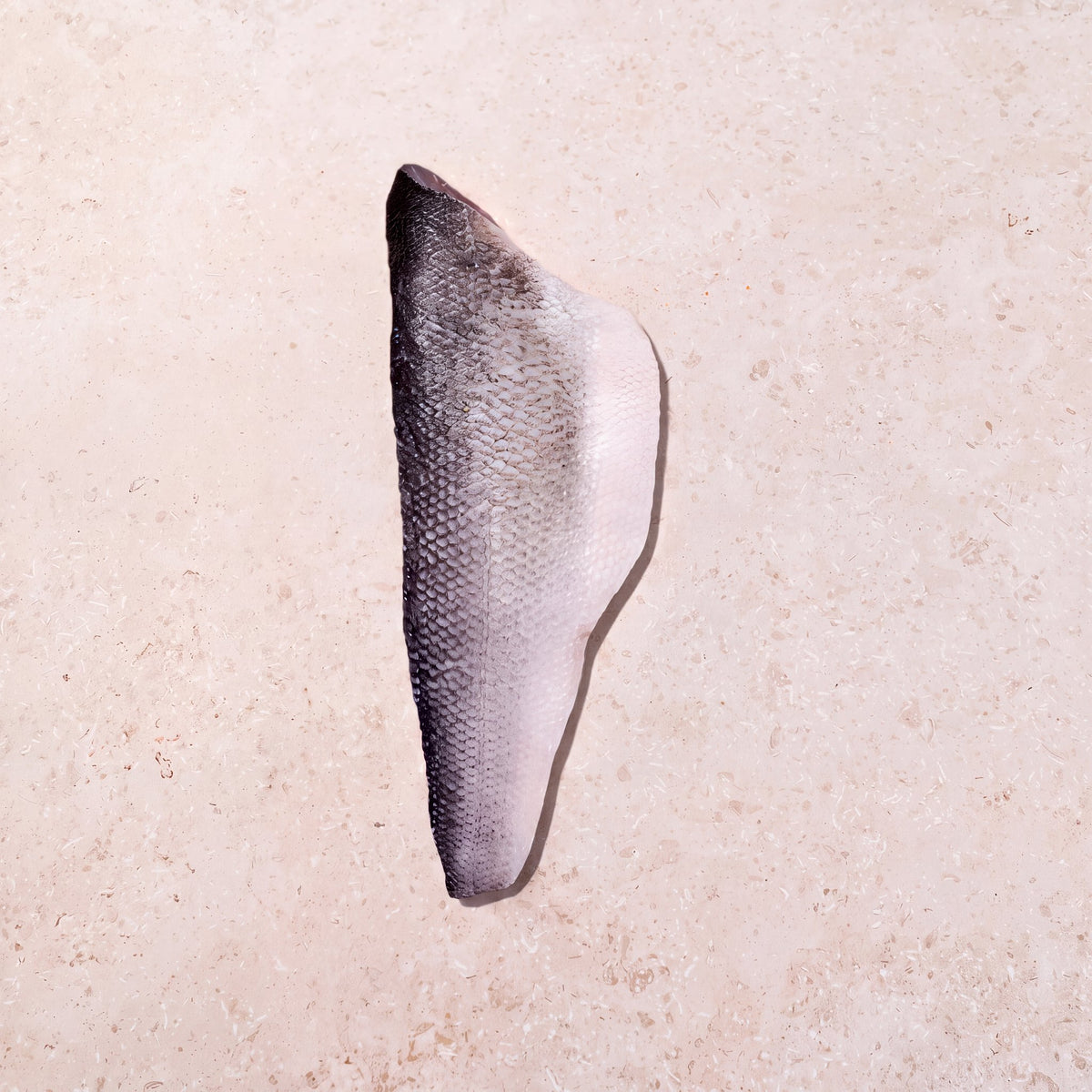 Canary Sea Bass - 200-250g | CarniStore Dubai