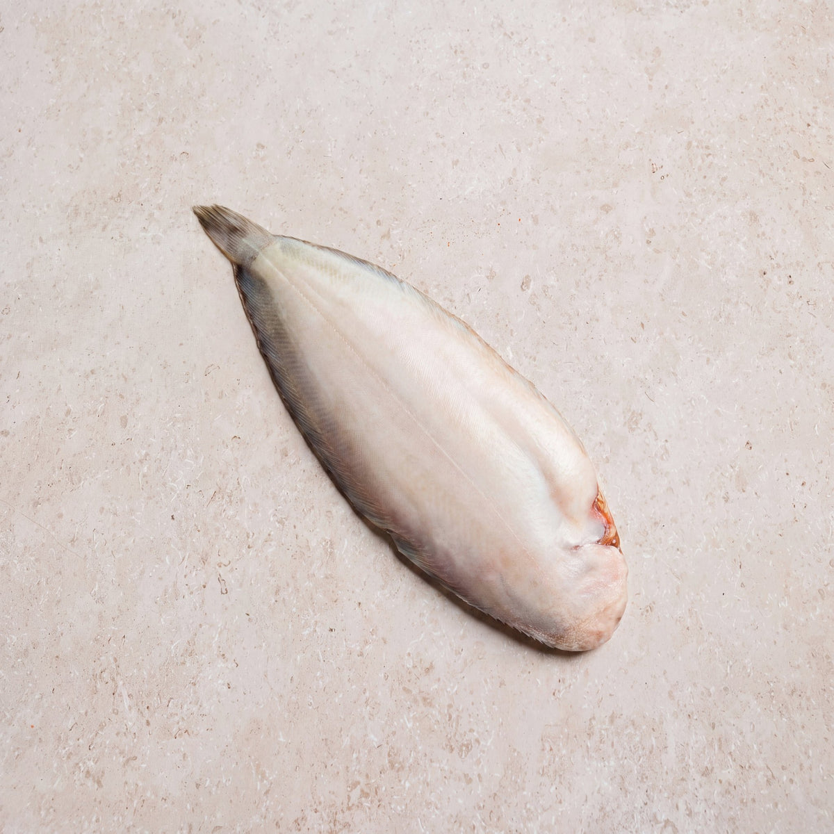 Dover Sole Whole 400-600g | CarniStore Dubai