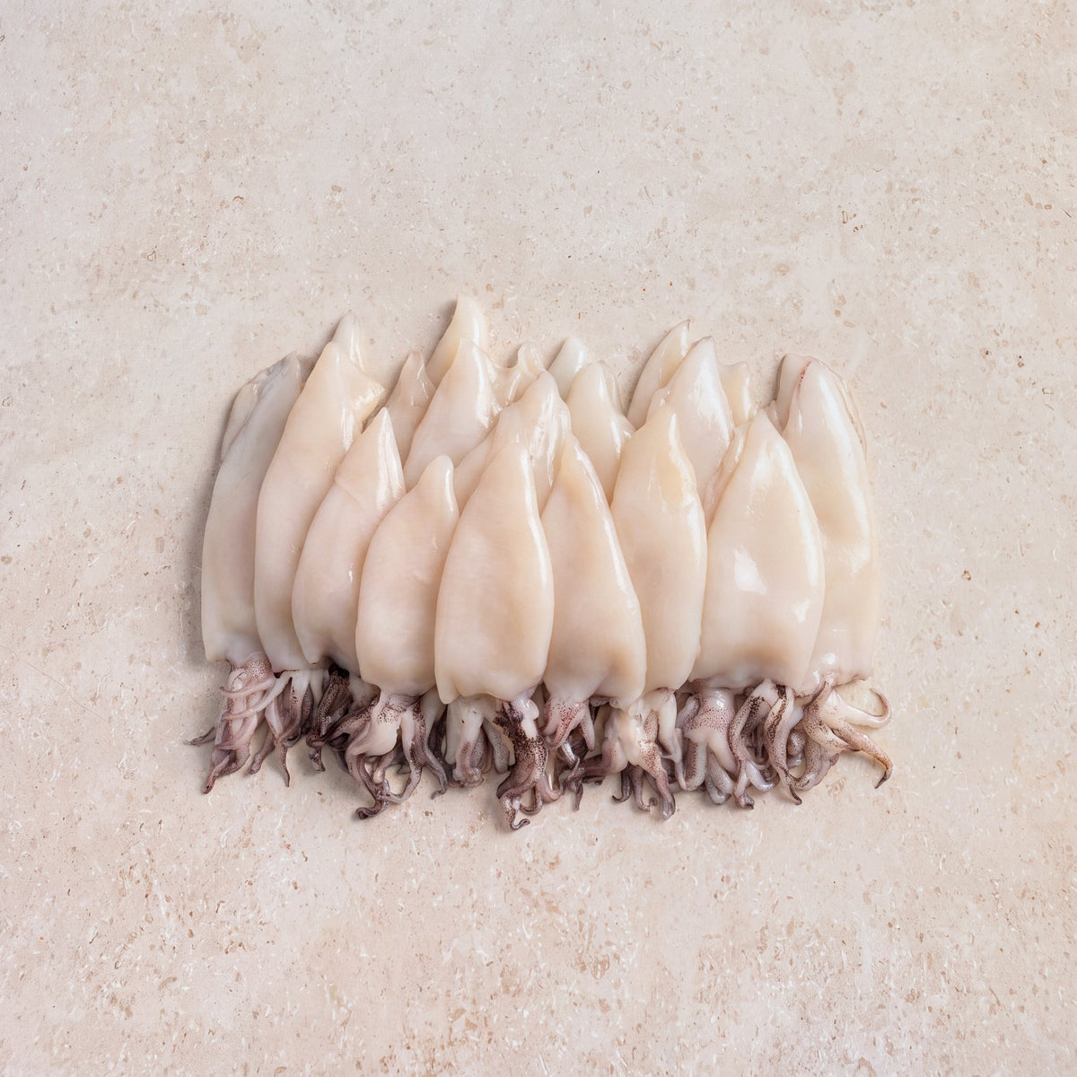 Patagonian Squid - 900g | CarniStore Dubai