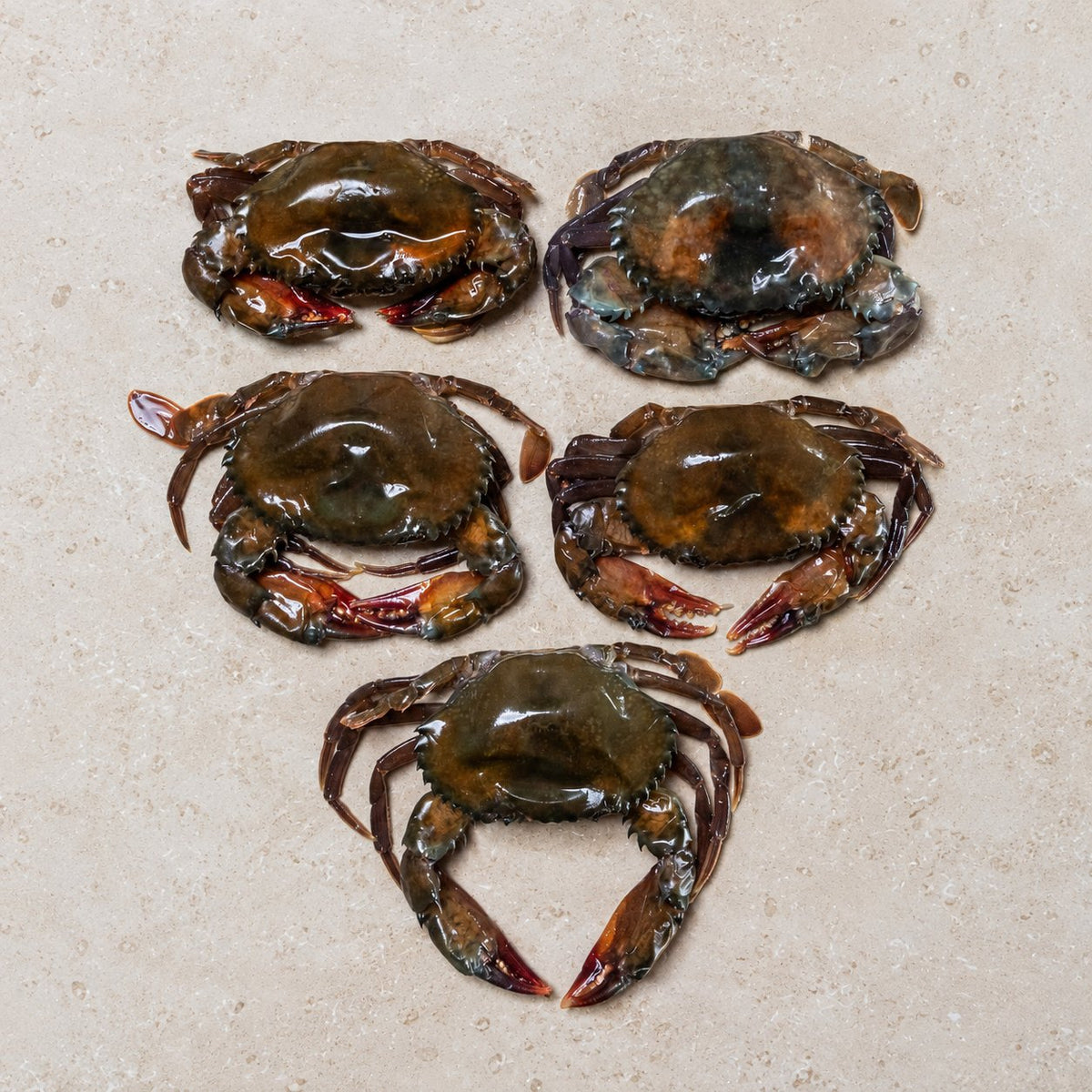 Soft Shell Crab - 500g | CarniStore Dubai