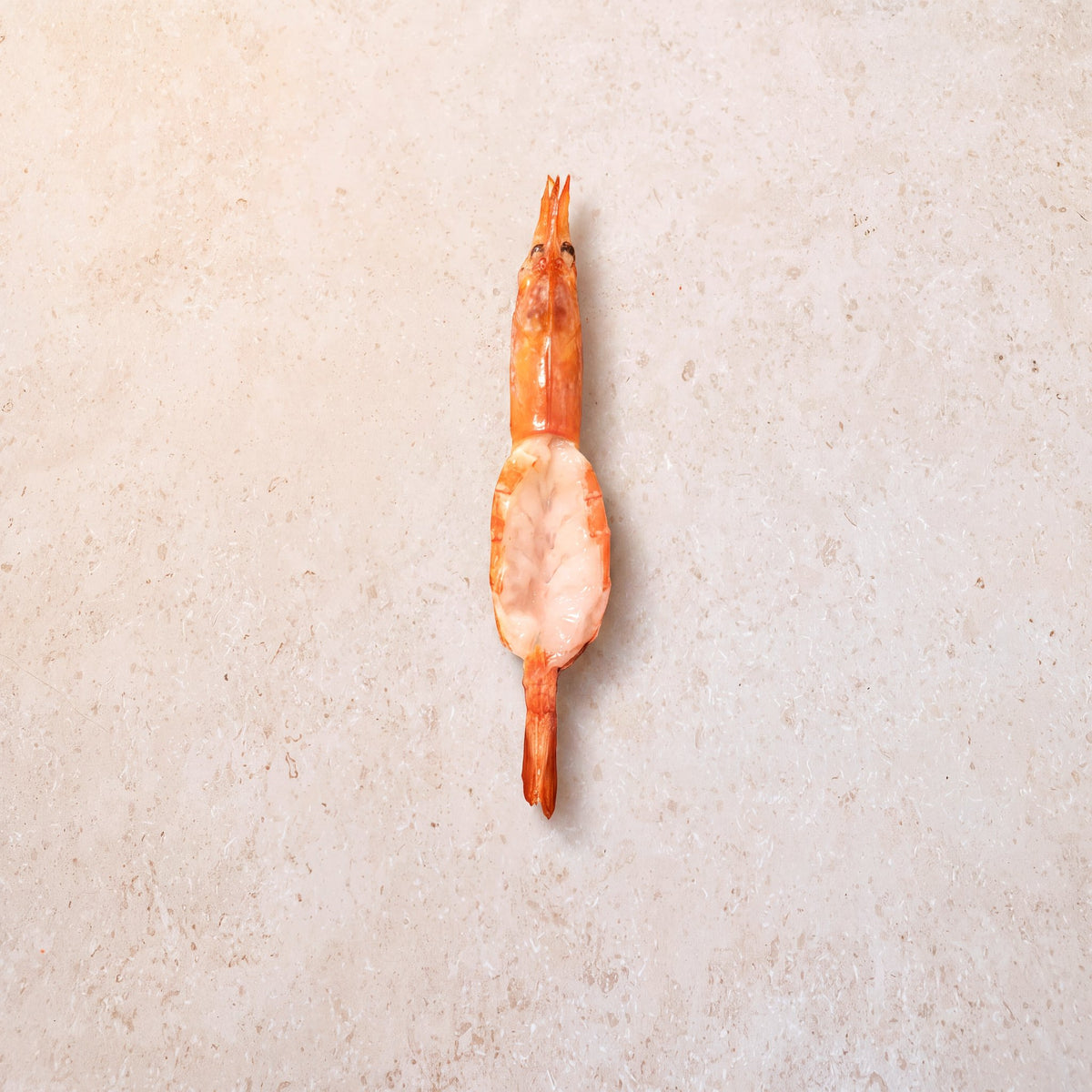 Wild Red Prawns - 500g | CarniStore Dubai