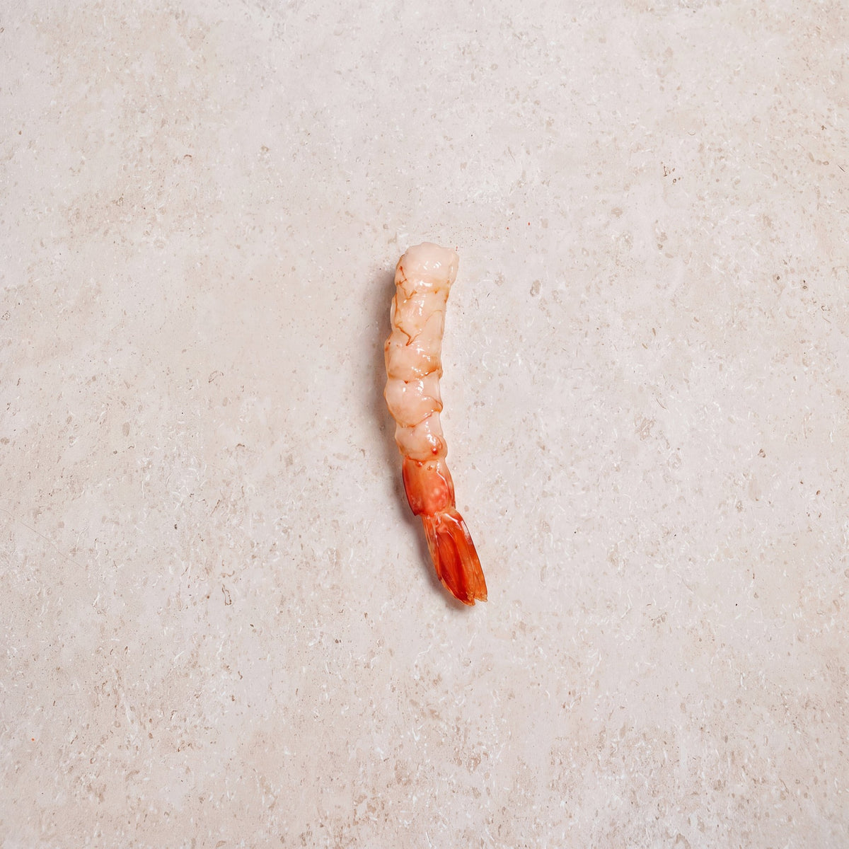 Wild Red Prawns - 500g | CarniStore Dubai
