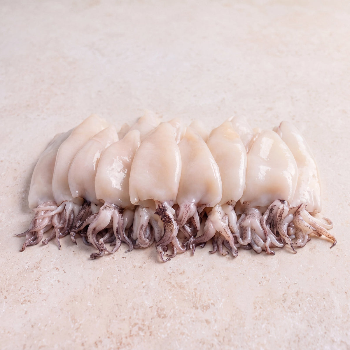 Patagonian Squid - 900g | CarniStore Dubai