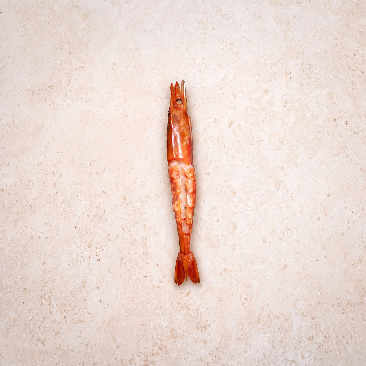 Wild Red Prawns - 500g | CarniStore Dubai