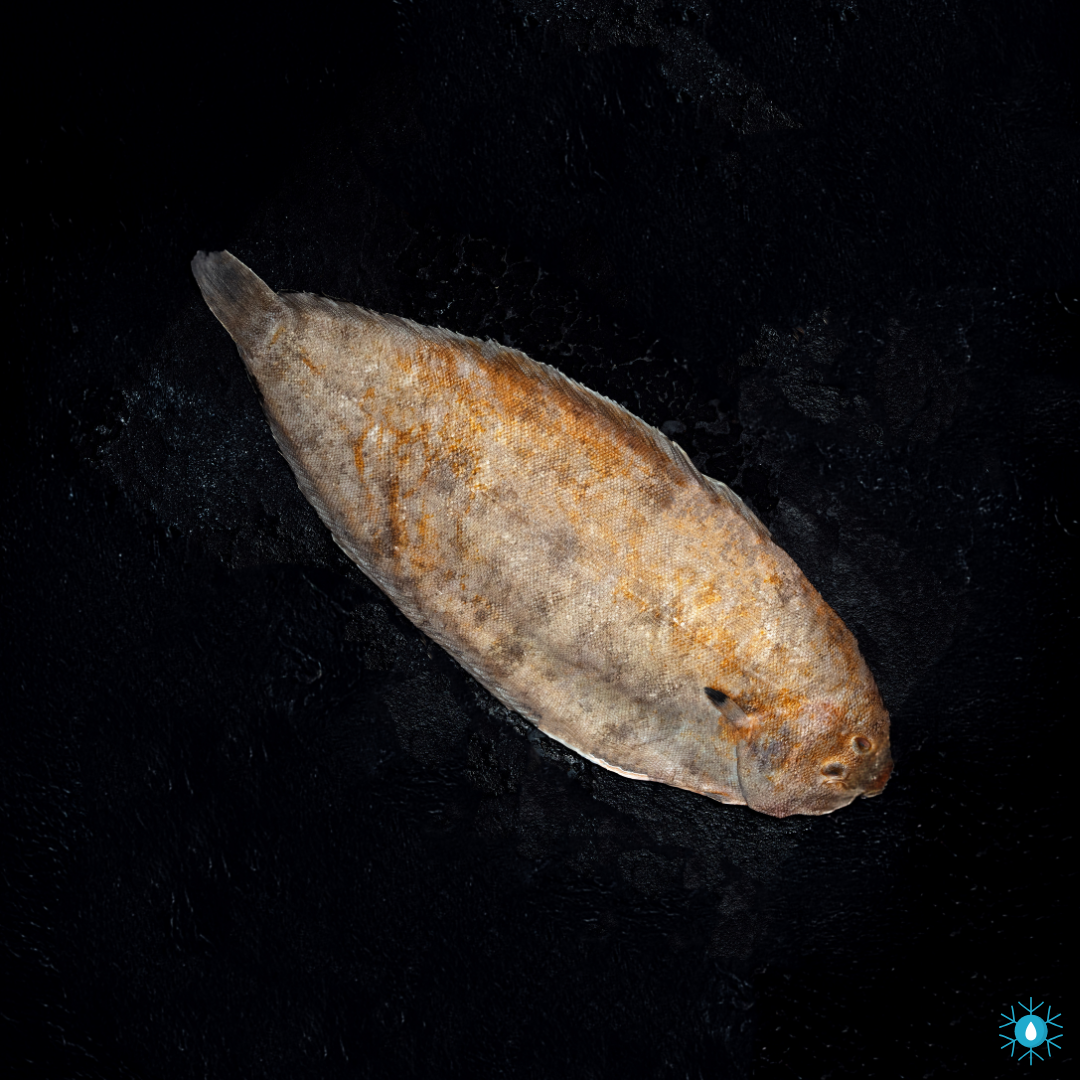 Dover Sole Whole 400-600g