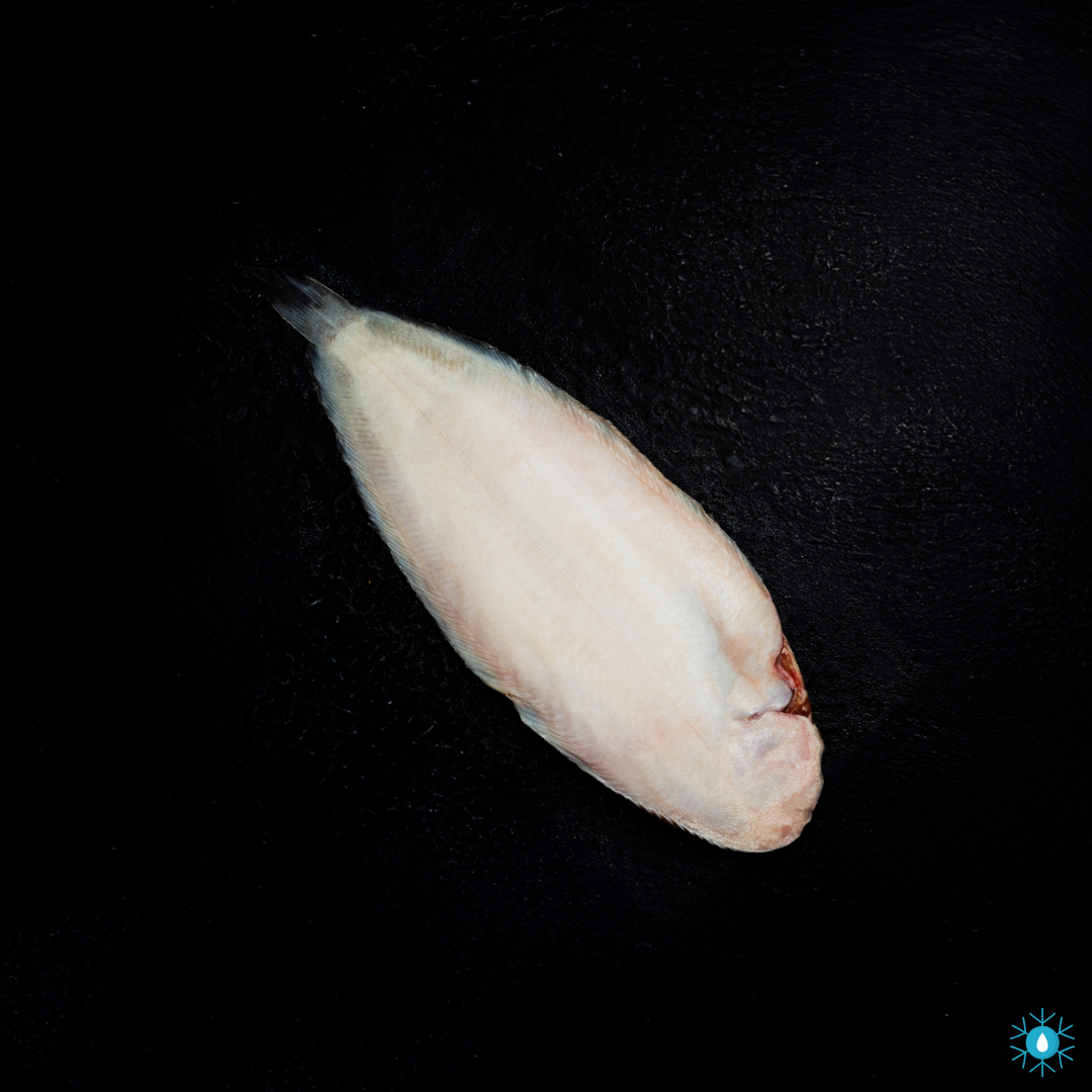 Dover Sole Whole 400-600g