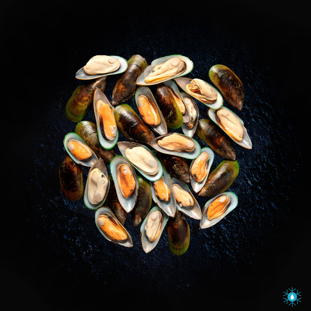 Greenshell Mussels - 1KG