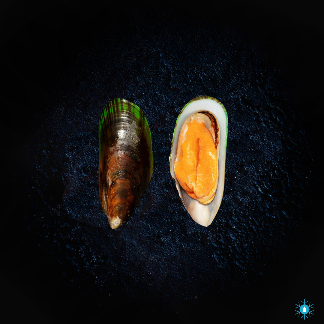 Greenshell Mussels - 1KG