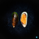 Greenshell Mussels - 1KG