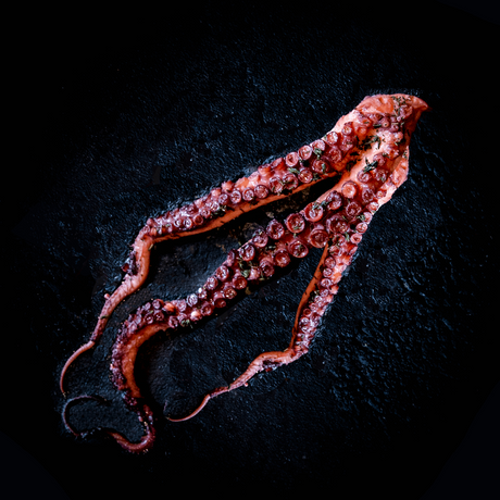 Marinated Wild Octopus