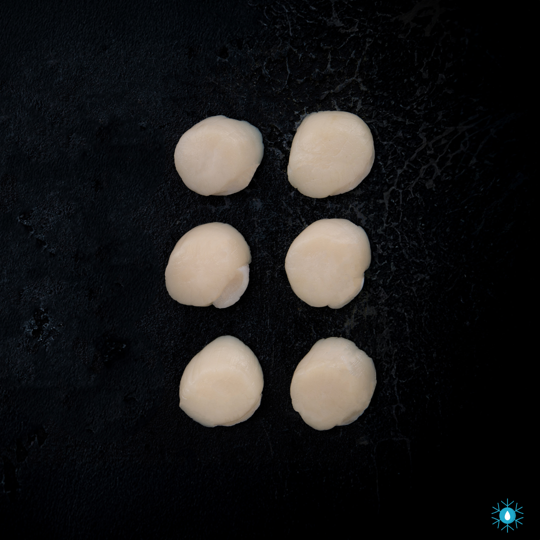 Hokkaido Scallops
