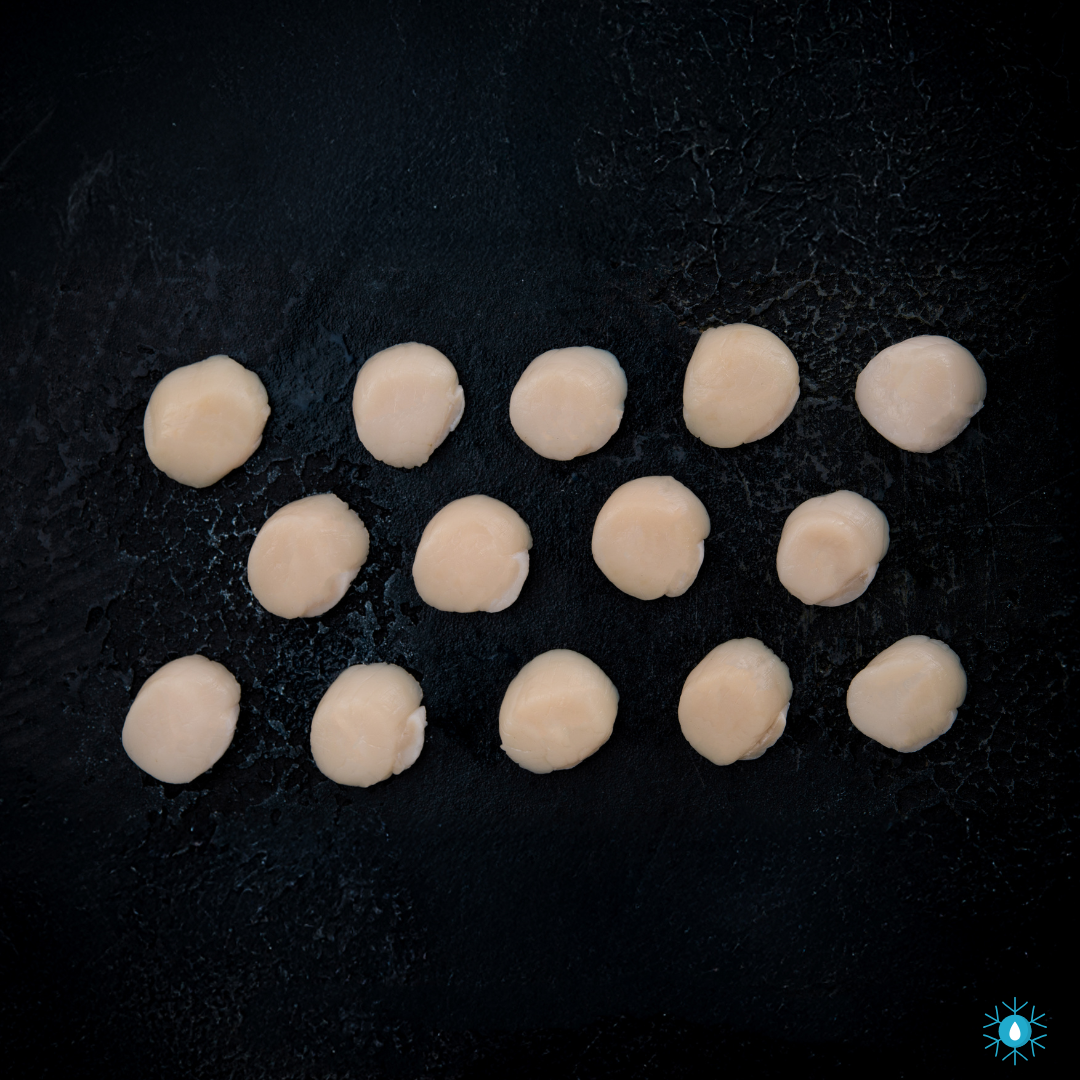 Hokkaido Scallops