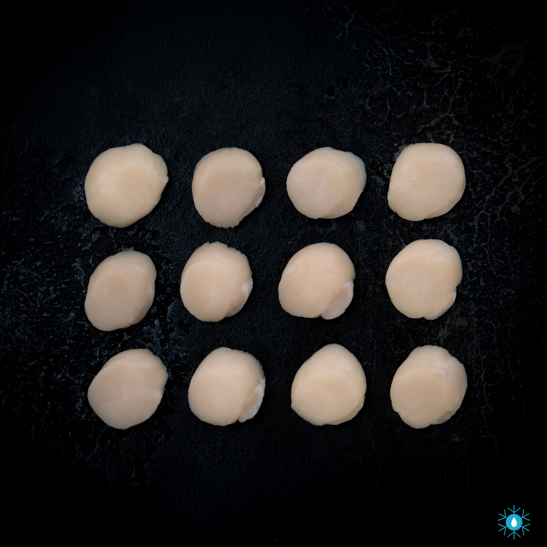 Hokkaido Scallops