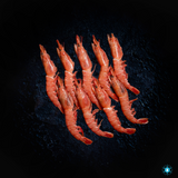 Wild Red Prawns - 500 G