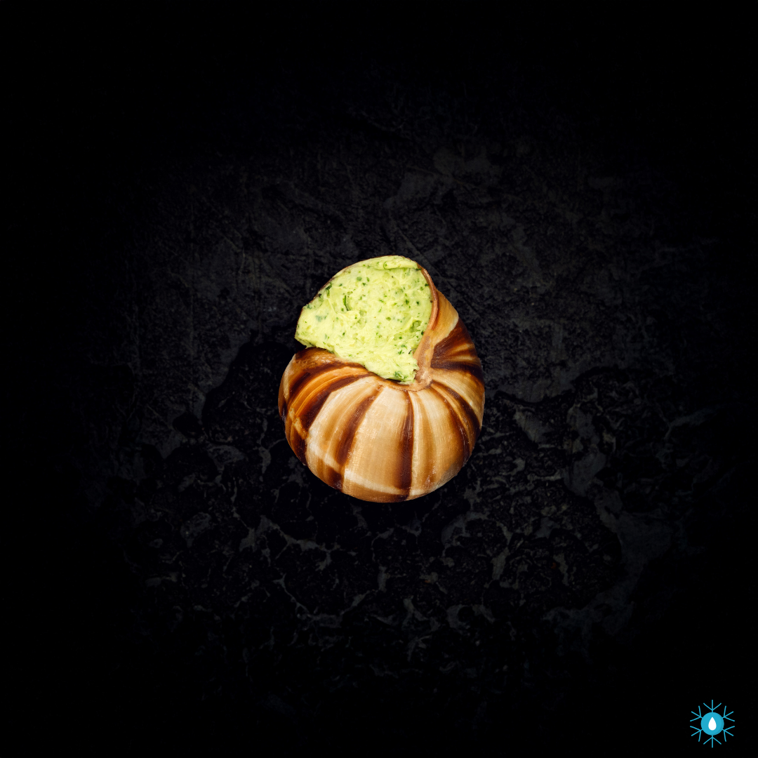 Burgundy Snails (Escargot) - 200g
