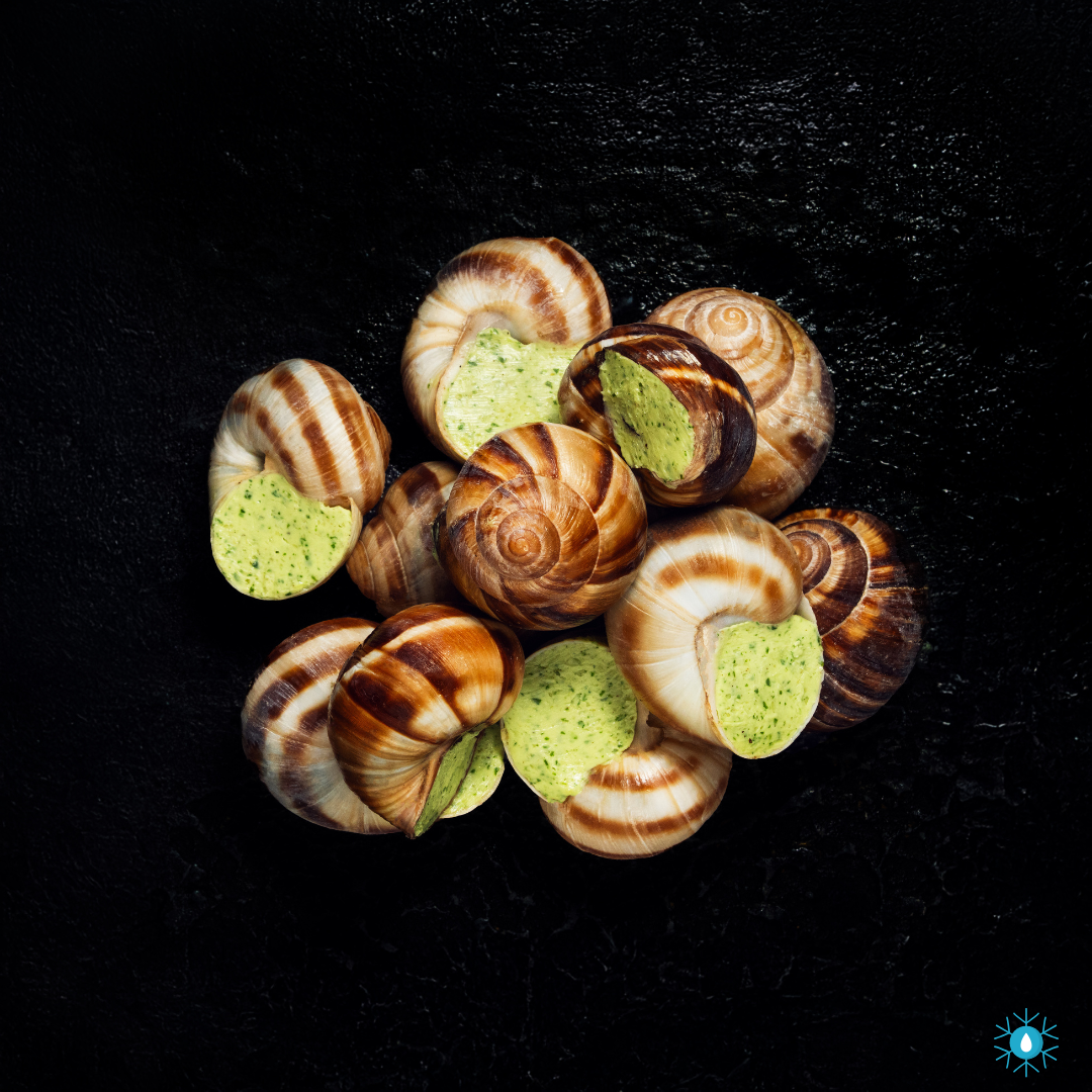 Burgundy Snails (Escargot) - 200g