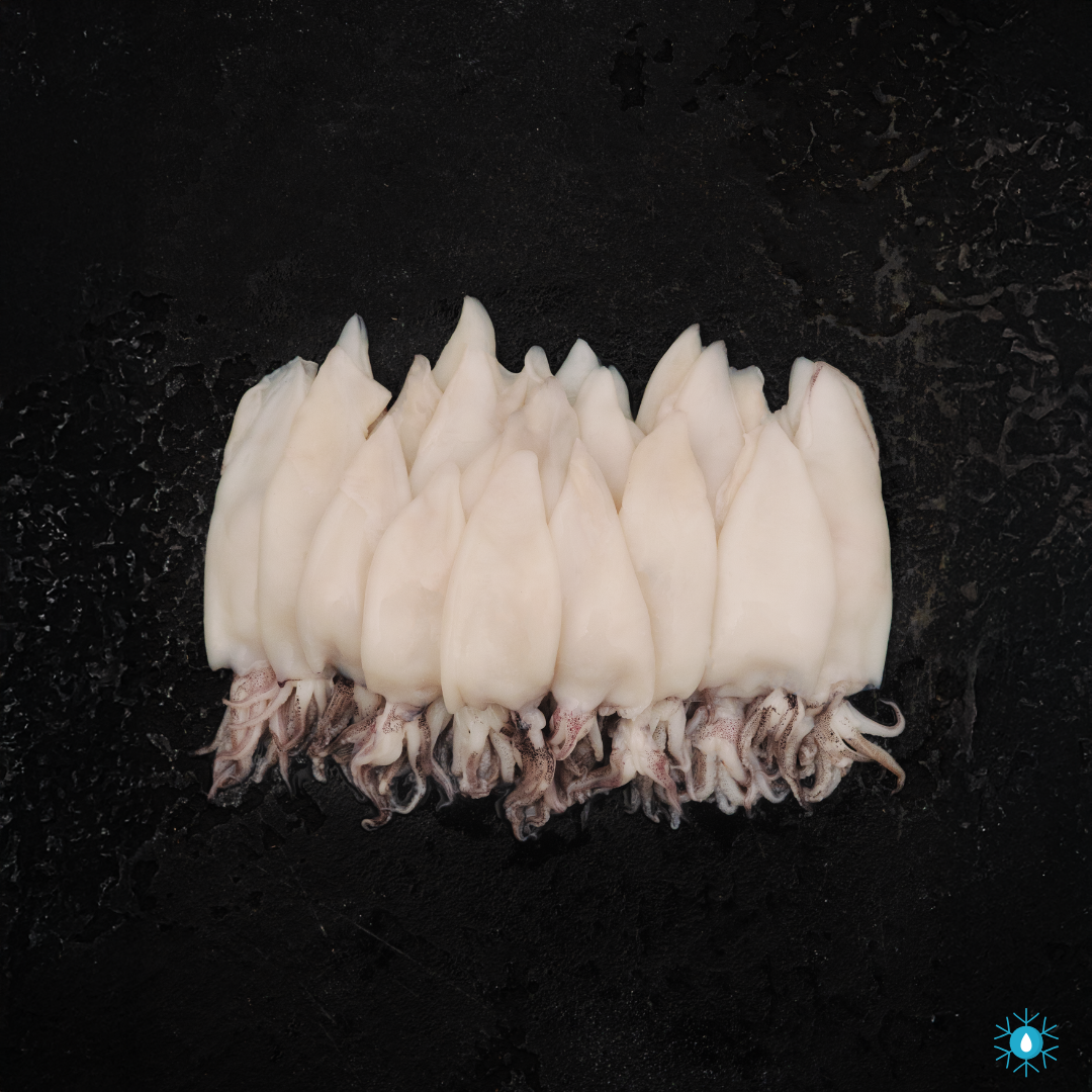 Patagonian Squid - 900g