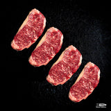 STRIPLOIN BUNDLE 