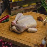 a stuffed animal laying on a wooden floor 