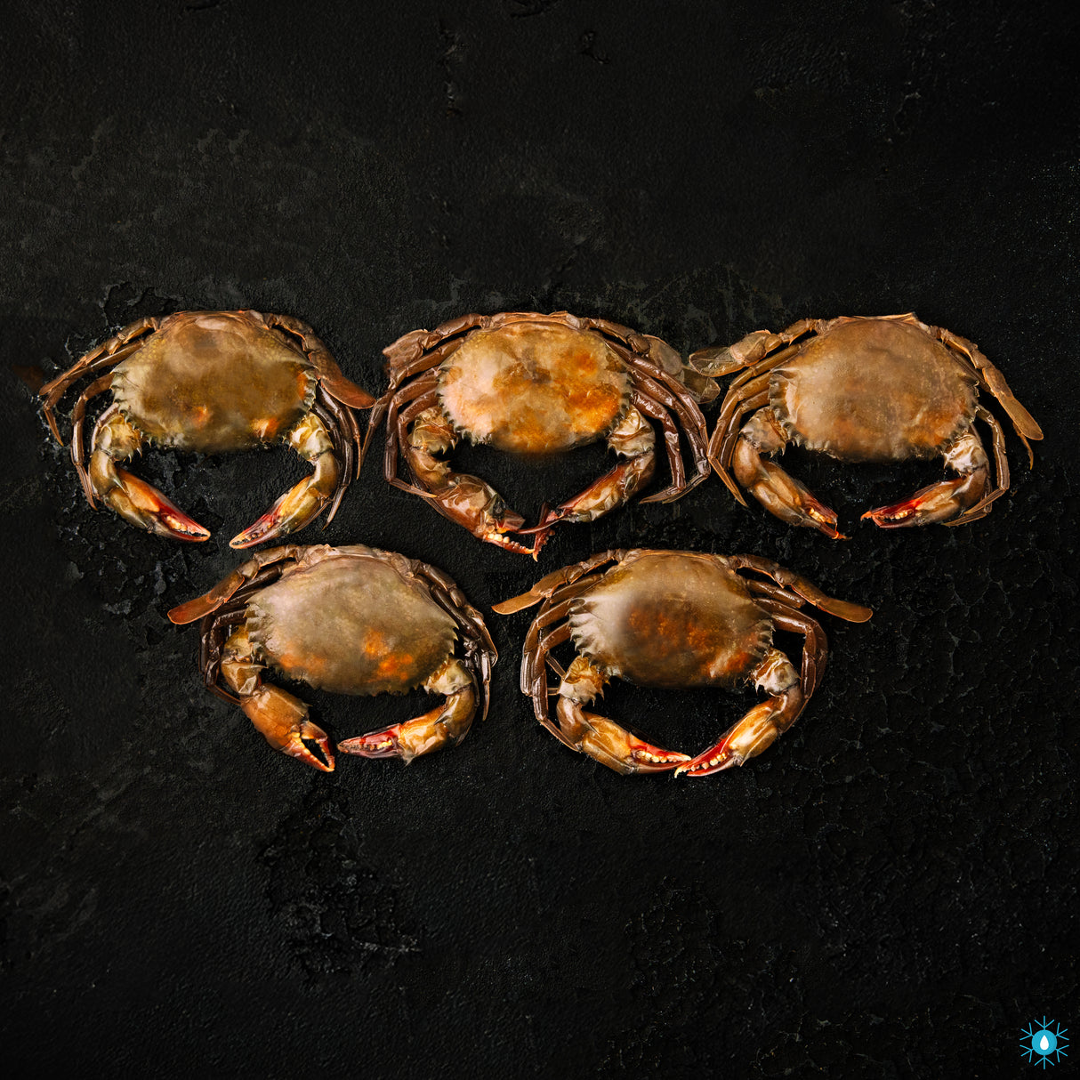 Soft Shell Crab - 500g