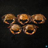 Soft Shell Crab - 500g